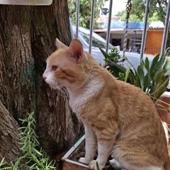 👀💀 (speed up version)