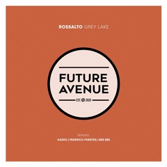 Rossalto - Grey Lake (Kazko Remix) [Future Avenue]