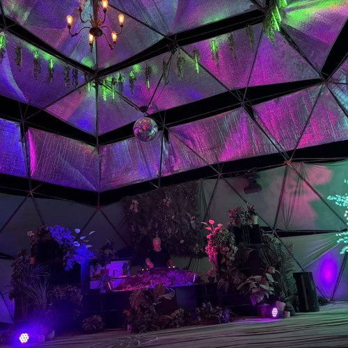 🔥 Fauxliage Dome - Late Night Set - Burning Man 2024