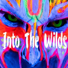 Celtic Music - Into The Wilds [Epic Pagan Viking Folk] (Full Album 2020)