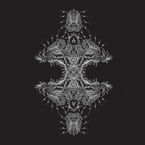 Pfirter - Altered States [MT40]