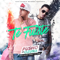 Te Fuistes (feat. Ozuna)