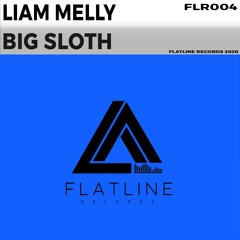Big Sloth (Original Mix)