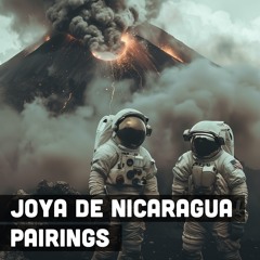 Flavor Odyssey – Joya De Nicaragua Pairings