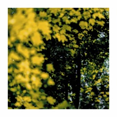 Albert azar - letter to our younger selves