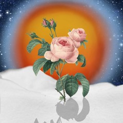 Spring Will Come Again (no mixing)