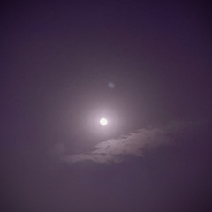 ‎⁨طلال عمر .. فيك انا ألقى وجودي