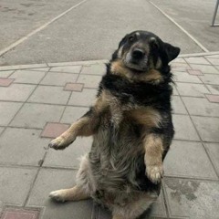 canción sin nombre :v