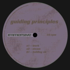PREMIERE : Guiding Principles - Holding On