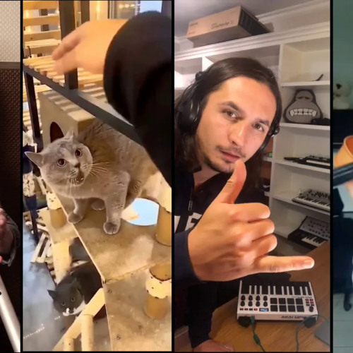 Stream The Kiffness Alugalug Cat (International Symphonic Mashup) by Dima Pushchalo Listen