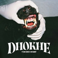 Dhokhe Tyson Sidhu