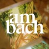 Cover of Vera Amberg's Am Bach Festival set
