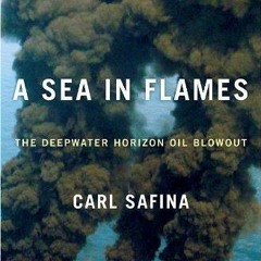 Free read✔ A Sea in Flames: The Deepwater Horizon Oil Blowout