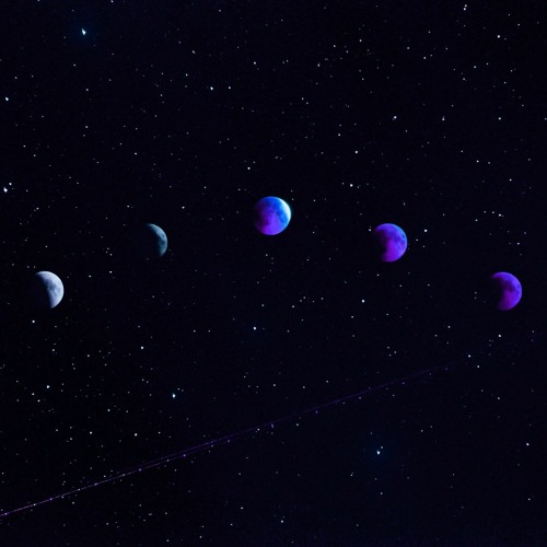 Anabela's shadows of moonbeam