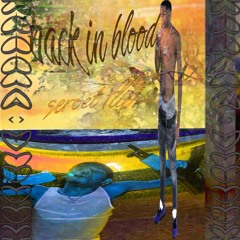 pooh shiesty - back in blood +{seroet flip}+ its a digital summer