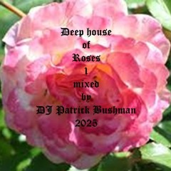 Deep house of Roses 1 mixed by dj patrick bushman