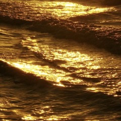 f5ve + Isla Den = I CHOOSE U 5EVA