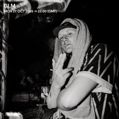 GLM - 27 October 2025