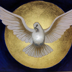 The white dove😀🦼