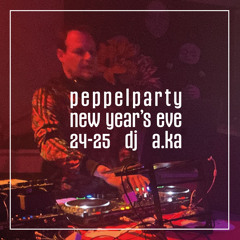 dj A.Ka @ PeppelParty | New Year's Eve 2024-2025