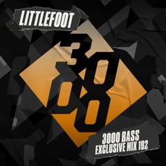 Littlefoot - 3000 Bass Exclusive Mix 192