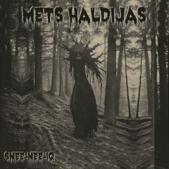 09 Mets Haldijas - Snee-Nee-Iq