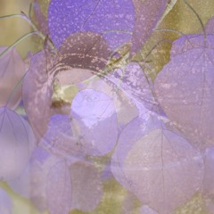 Kenosha Pass Mix (excerpt)