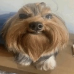 ken Carson x artdealer type beat