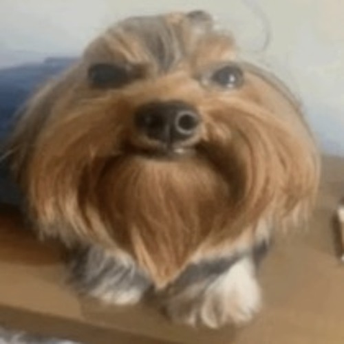 ken Carson x artdealer type beat