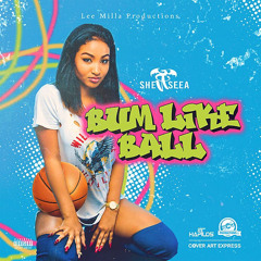 Back it up (Bum like ball Shenseea Remix)