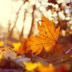 1 September(Remember 9/11) (YU0's Autumn Mix)