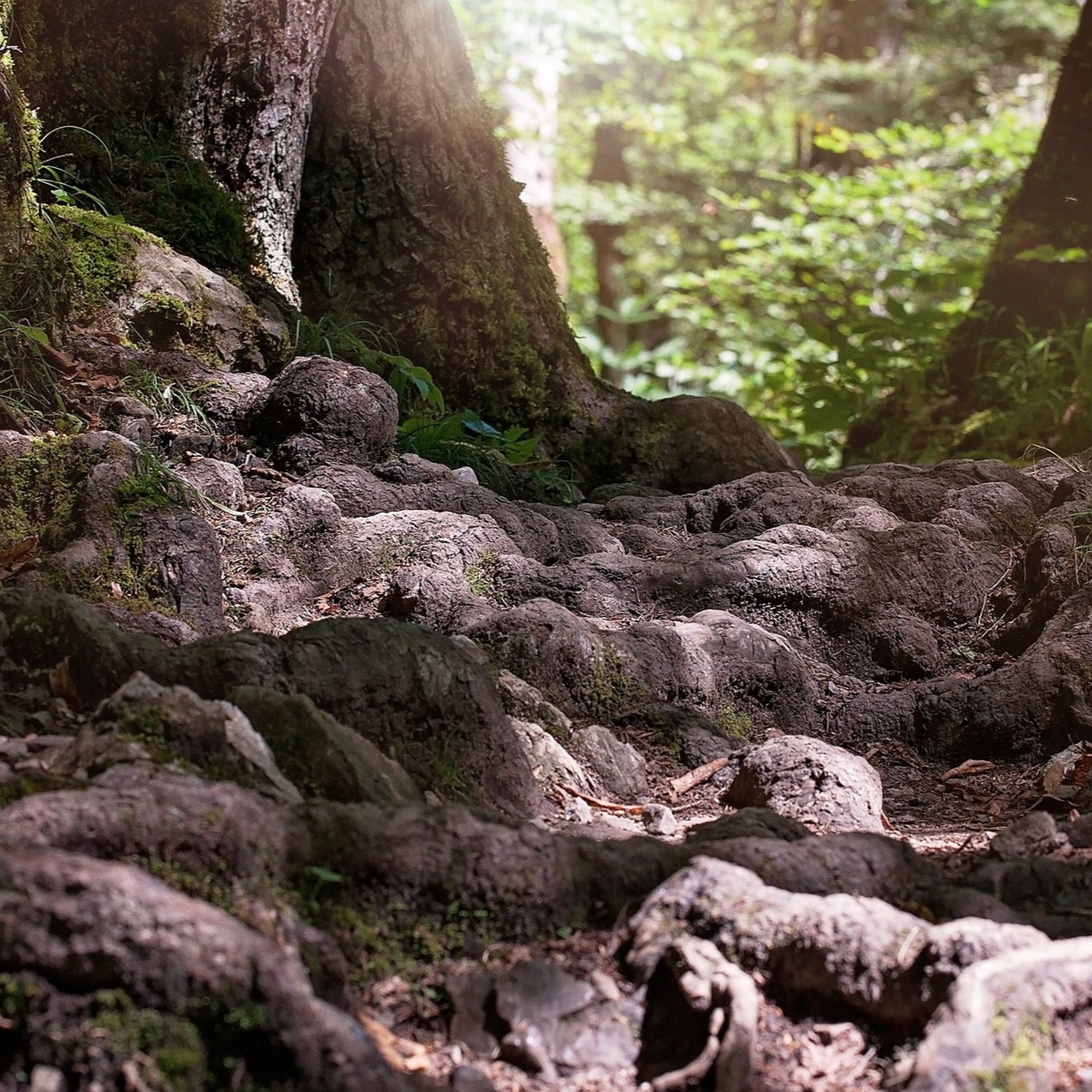 CC211: Sijuwade & Oppy Discuss Grounding & God (feat. William Hasker & Susana Gomez)