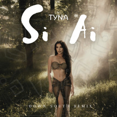 Tyna Si Ai Down South Remix