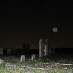gotham streets / tears #deathwitches