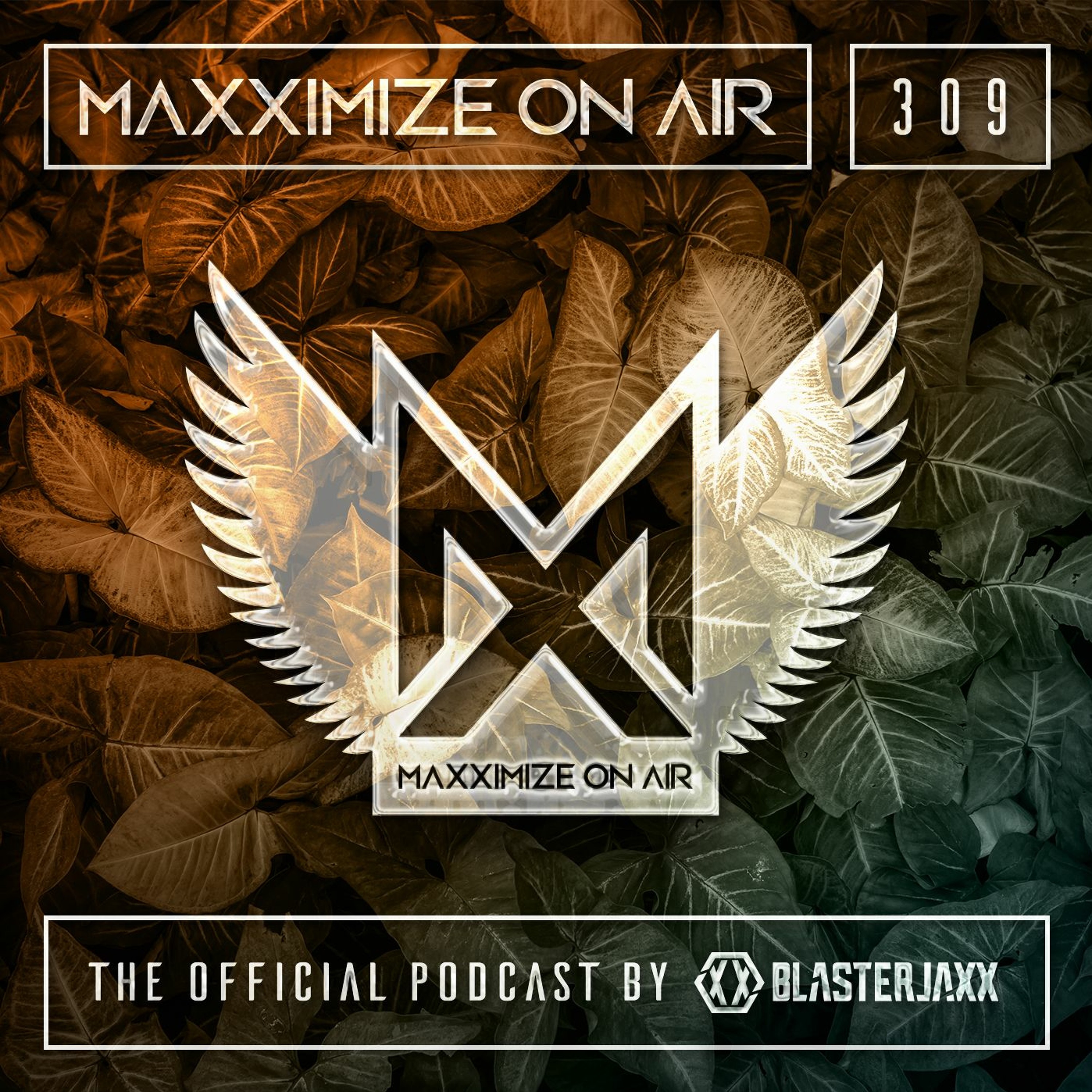 Maxximize On Air