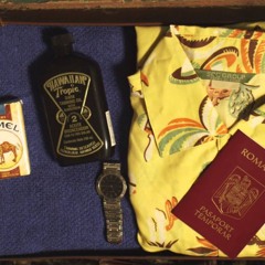 Riptide - Næl [Accoustic Cover]