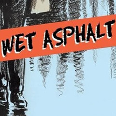 nvs - wet asphalt