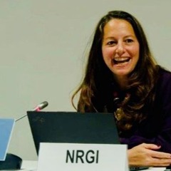 COP29: Suneeta Kaimal on justice and equity in transition mineral supply chains