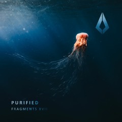 Purified Latest Releases