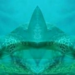 Flor D'Luna Drum John Coltrane & Bass Mix(Moonflower)