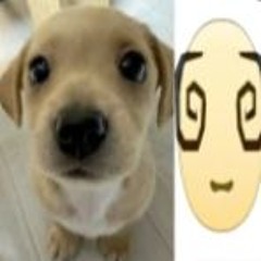 xaviersobased type beat - sparky - prod.poison