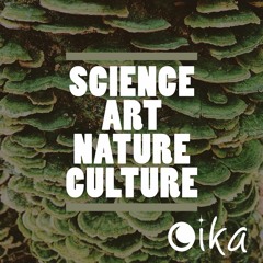 The alliance of art and science