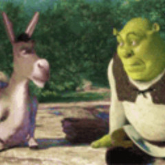 Booy Darya Labe Sahel (320)