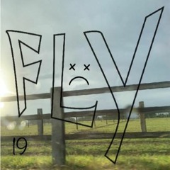 fly fly (19 version)
