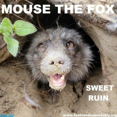MOUSE THE FOX - SWEET RUIN - VOL.69 - 15.10.2023