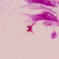 purepurepure COVER