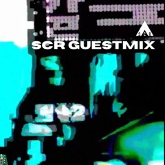 22 - 11 - 28 estoc - SCR Guestmix