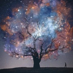 Quantum Human Quantum love Quantum magic