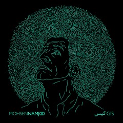 Mohsen Namjoo - Gis