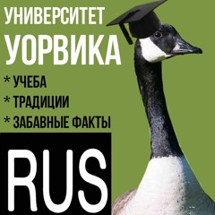 Университет Уорвика: учёба (личный опыт), традиции и забавные факты